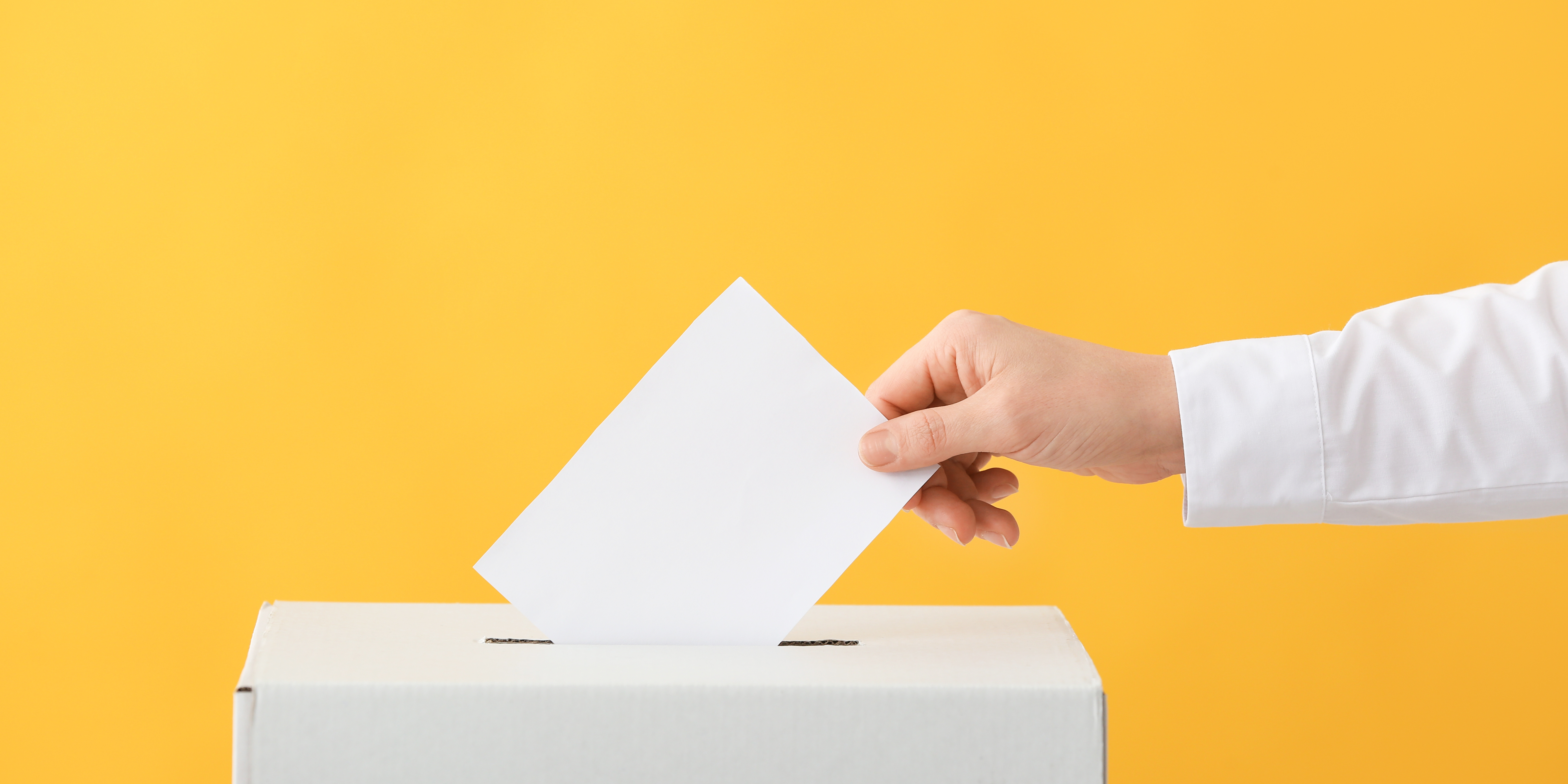 Cuidado con el voto visceral 1 - María José Bayo